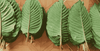 Thai Kratom, fájdalomcsillapító, erő, állóképesség, szerves, levelek, mitragynine, stimuláló hatás, teljesítmény