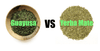 yerba mate vs guayusa