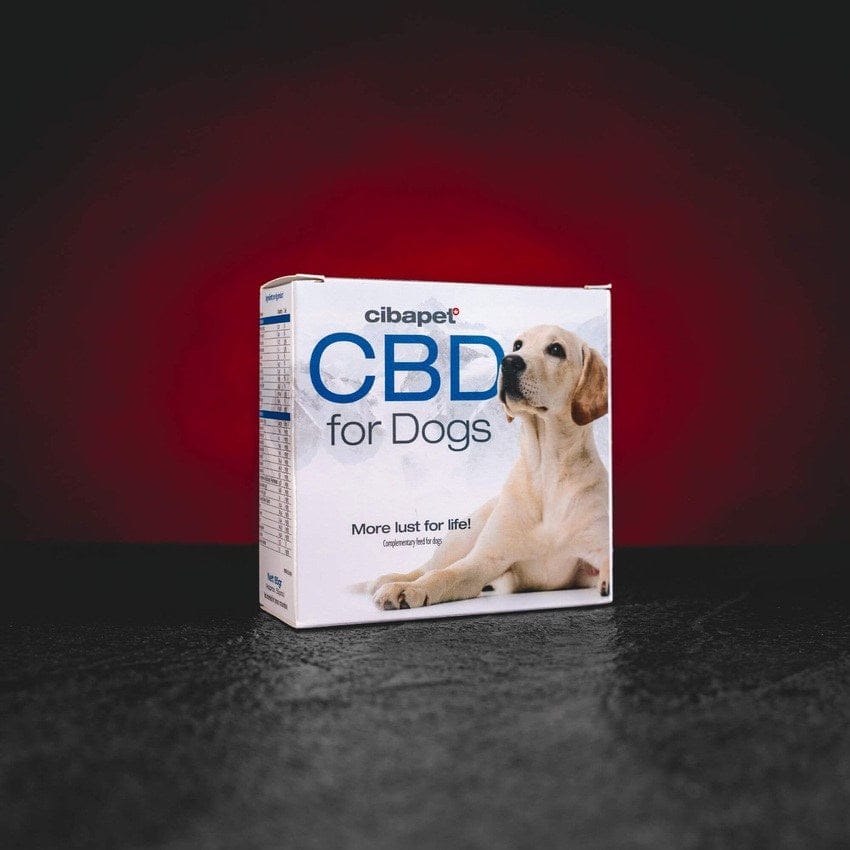 CBD pasztillák kutyák számára CBD pasztillák kutyák számára nem pszichoaktív CBD-vel, természetes étrend-kiegészítő a nyugalom, jó közérzet, egészséges szőrzet és bőr támogatására, ízesített pasztillák terpének nélkül, mindennapi használatra háziállatok számára